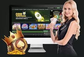 bd88 login